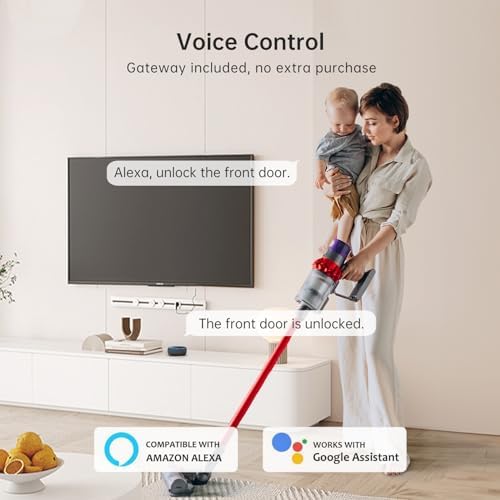 Hornbill Smart WiFi Front Door Lock