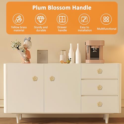 4Pcs Brass Drawer Knob Set with Screws