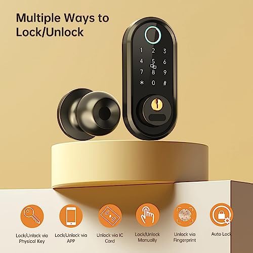Secure Front Door Lock with Biometric Entry