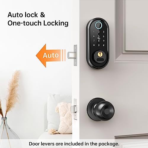 Secure Front Door Lock with Biometric Entry