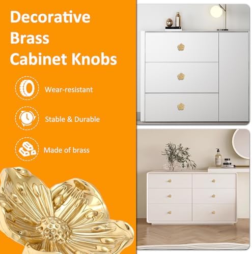 4Pcs Brass Drawer Knob Set with Screws