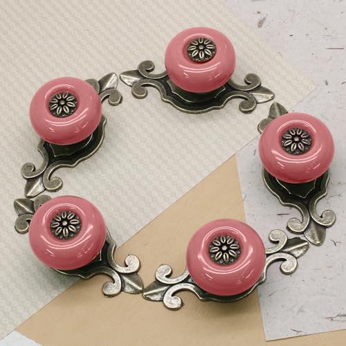 Suiwotin10-Piece Ceramic Knobs