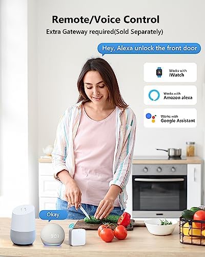 Zowill Smart Door Lock Set