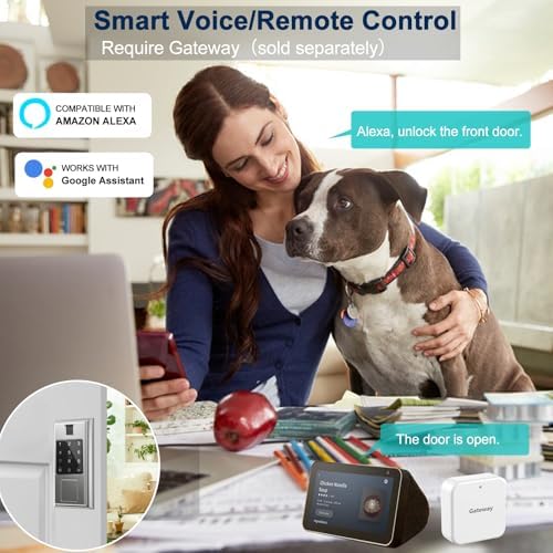 Smart Lock with Fingerprint Touchscreen and App Control